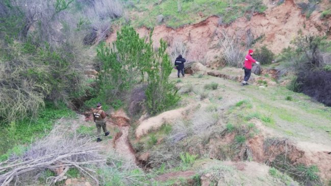 Intensa búsqueda de adolescente desaparecida en Villa Alemana