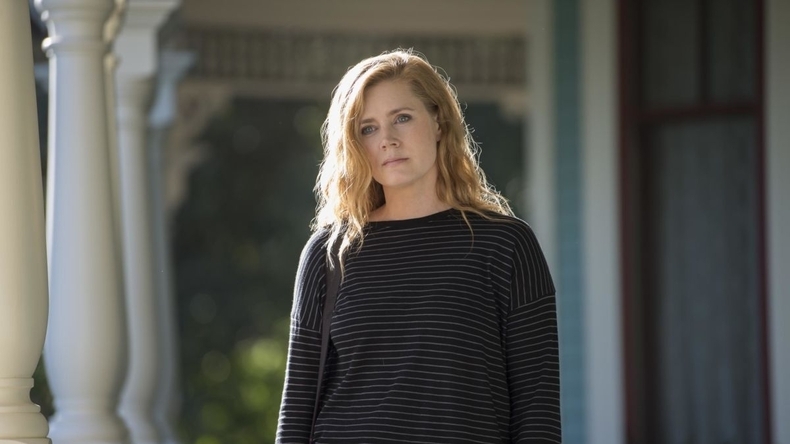 Amy Adams protagonizará serie de Adam McKay en Netflix