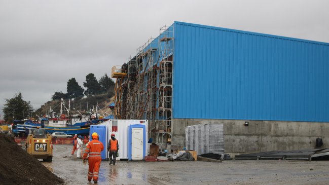 Punta Arenas: 70% de avance tiene ampliación de la Caleta de Barranco Amarillo