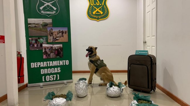 Sujeto llevaba más de nueve mil dosis de marihuana en una maleta