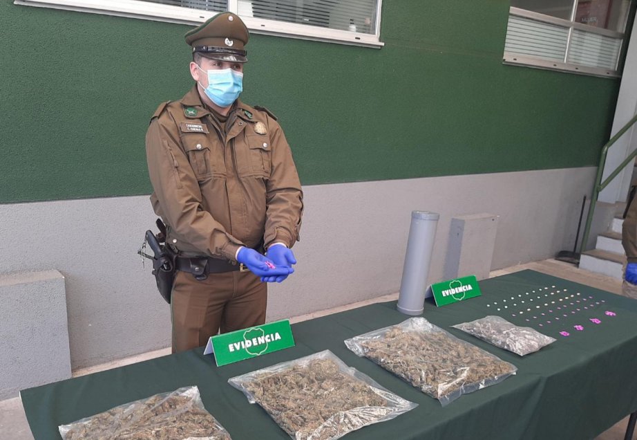 Carabineros detectó marihuana, éxtasis y hongos 