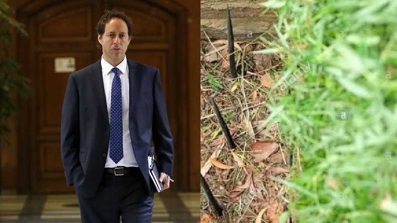 Llevarán a Comisión de Ética a diputado por imagen falsa de 