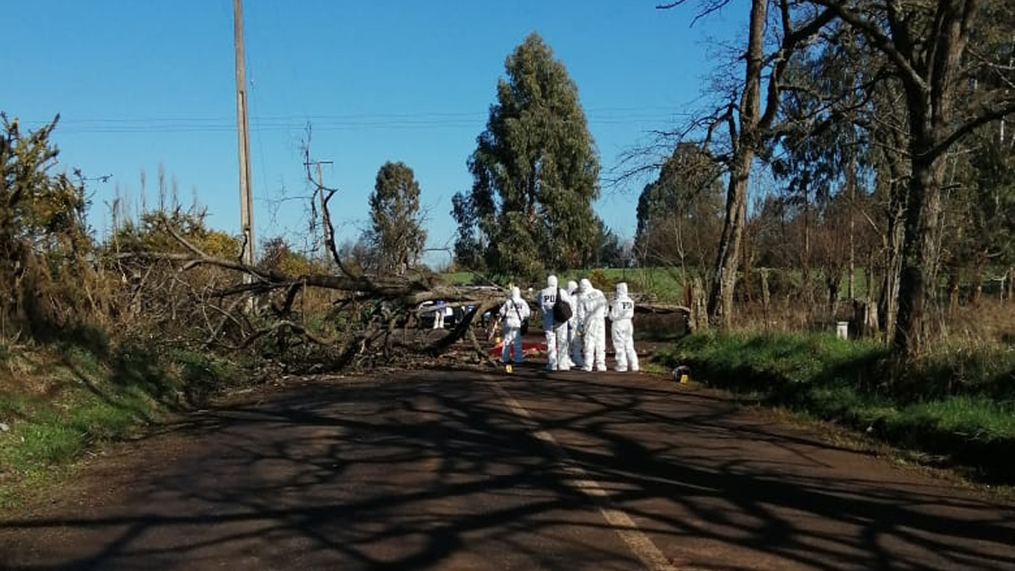 Motociclista murió al chocar contra árbol derribado en Lautaro