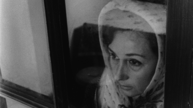 Festival de Cine de Valdivia será online y gratuito