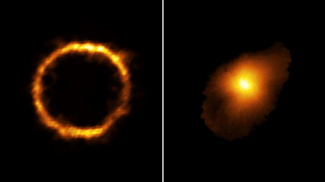 Descubren desde Chile la 