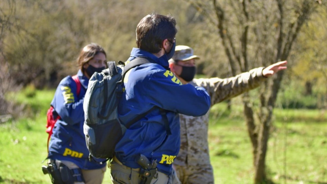 En 40 hectáreas se concentra búsqueda de mujer desaparecida en Ninhue