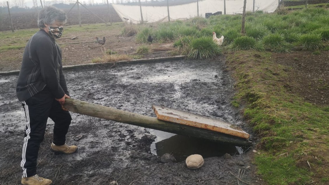 Piden decretar emergencia sanitaria por colapso de fosa séptica en Teno