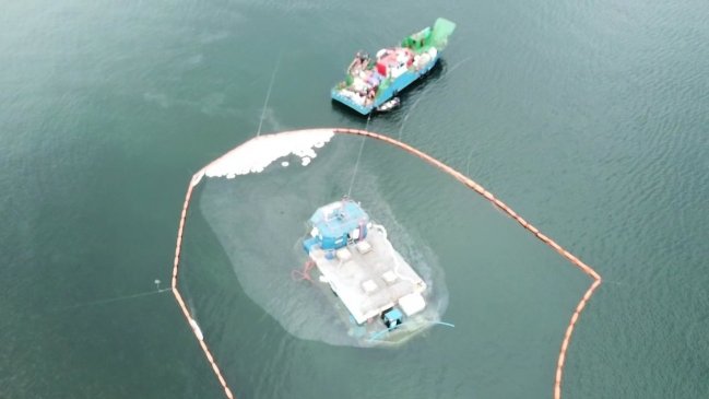Armada monitorea varamiento de pontón salmonero en Puerto Montt