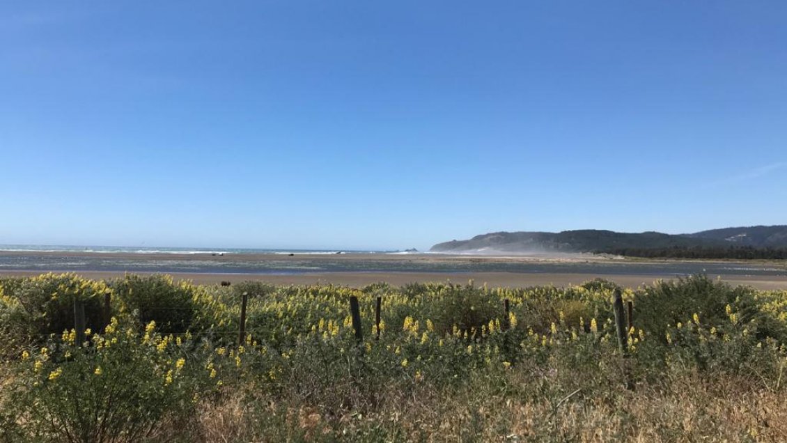 Piedra del Viento de Topocalma es el nuevo Santuario de la Naturaleza en O'Higgins