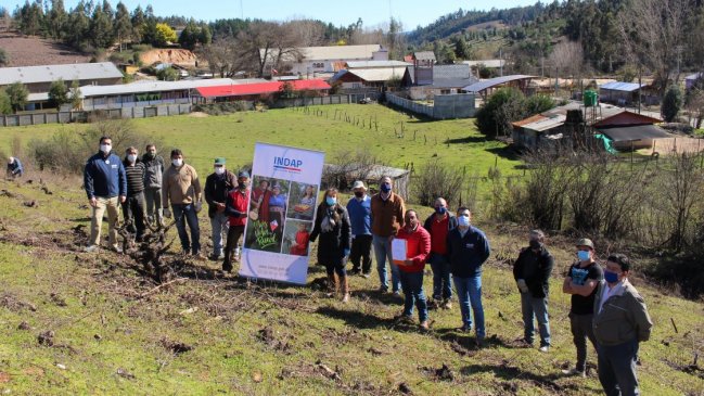 Empresa vinífera del Itata consiguió sello de “Comercio Justo”