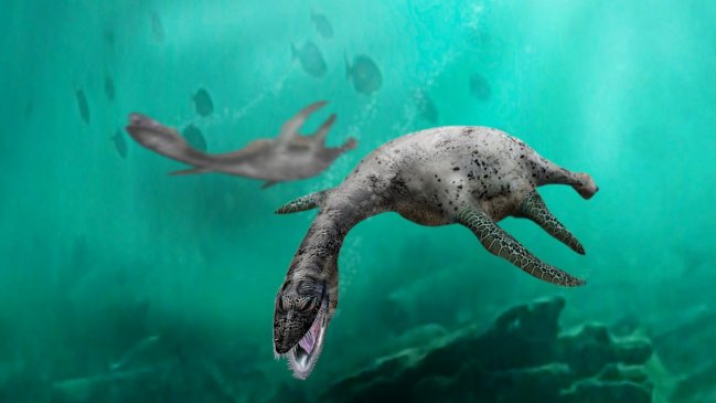 Descubren plesiosaurios que habitaron el norte de Chile hace 160 millones de años