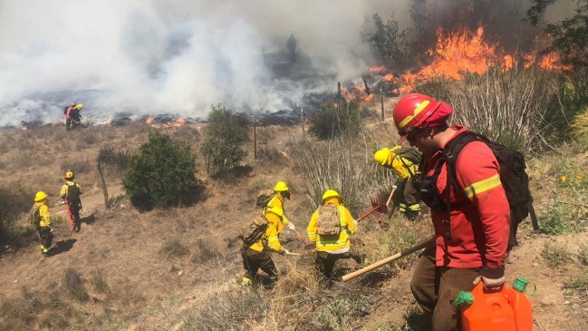 Conaf Valparaíso inició reclutamiento de brigadistas ante arribo de temporada de incendios