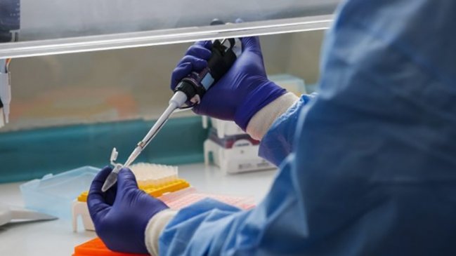 Seremi de Salud de Antofagasta solicitó nombres de empresas para fiscalizar irregularidades