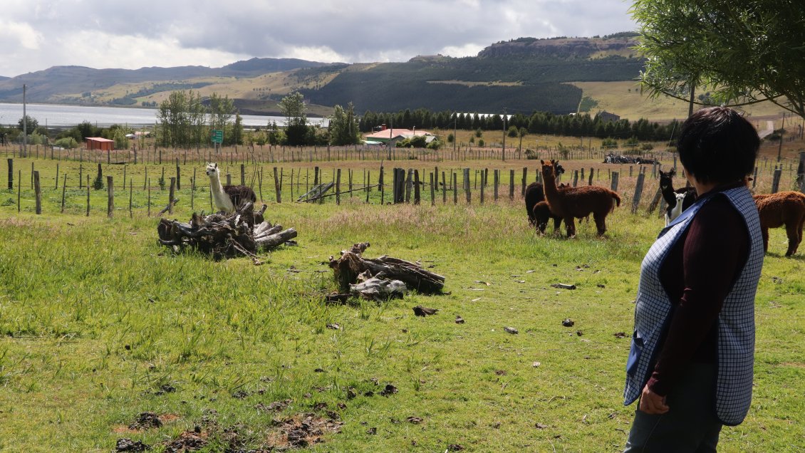 Iniciativa pionera busca fortalecer el turismo rural en la Región de Aysén
