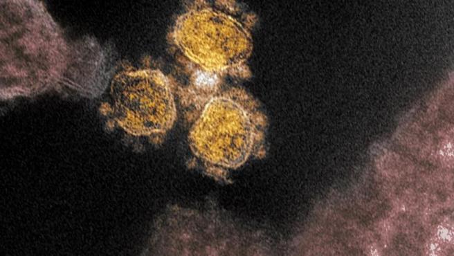 AstraZeneca empieza ensayos clínicos de un fármaco contra el Covid-19