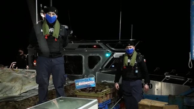 Policía marítima incautó más de 44 toneladas de erizo extraído ilegalmente en Aysén