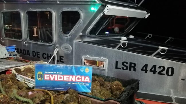 Aysén: Pesquero con 44 toneladas de erizos presentó documentación falsa a la Armada