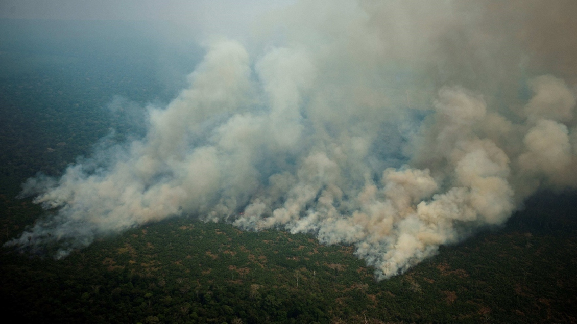 Brasil deforestó 87 millones de hectáreas de cobertura vegetal entre 1985 y 2019
