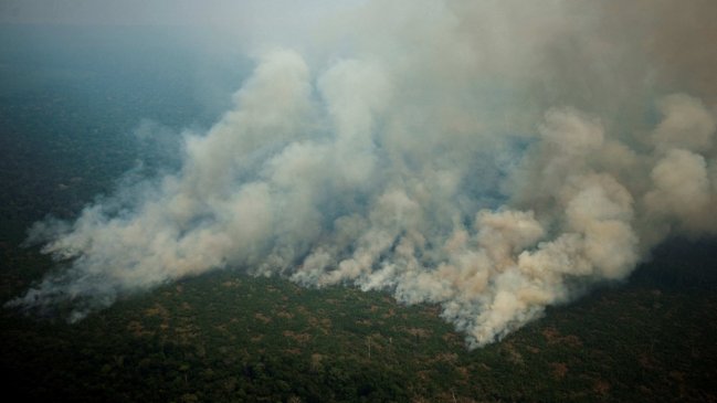 Brasil deforestó 87 millones de hectáreas de cobertura vegetal entre 1985 y 2019