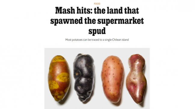 The Economist destacó la influencia global de la papa chilota, madre de las variedades modernas