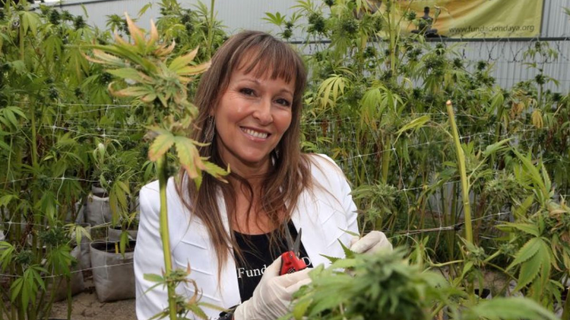 Ana María Gazmuri reveló en vivo que allanaron casa de su hija por posesión de cannabis