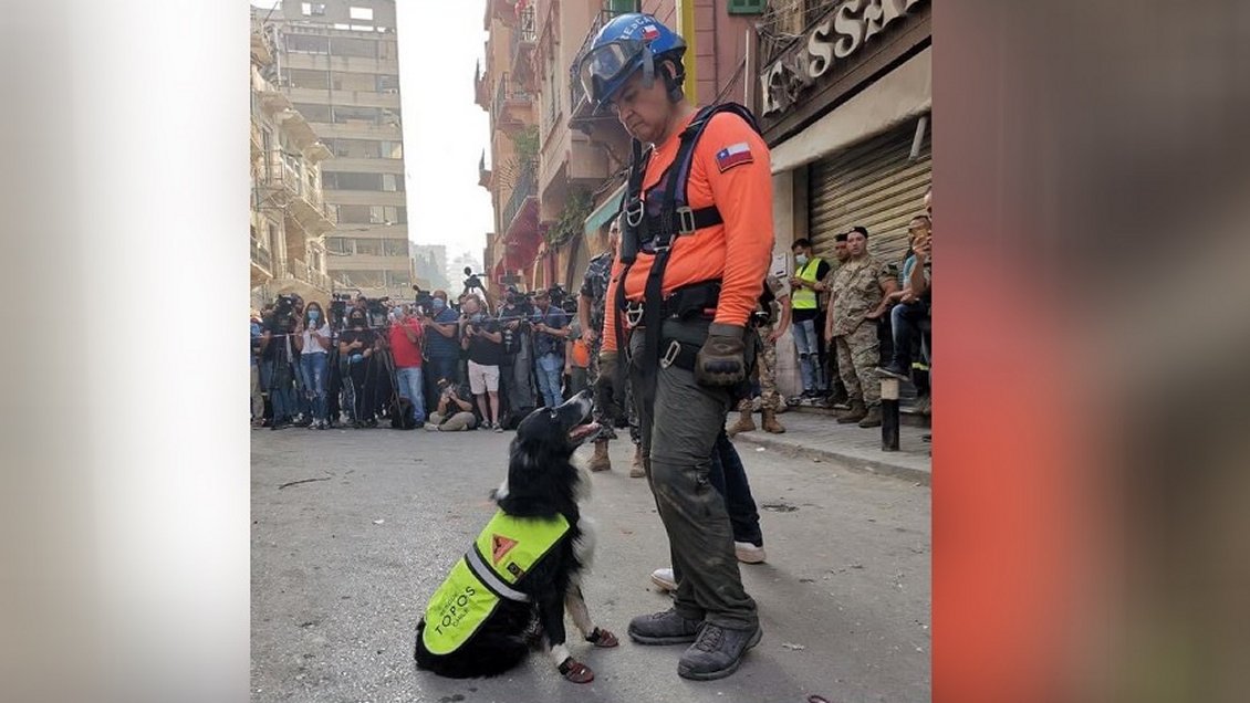 Rescatistas chilenos detectaron indicios de vida a un mes de explosión en Beirut