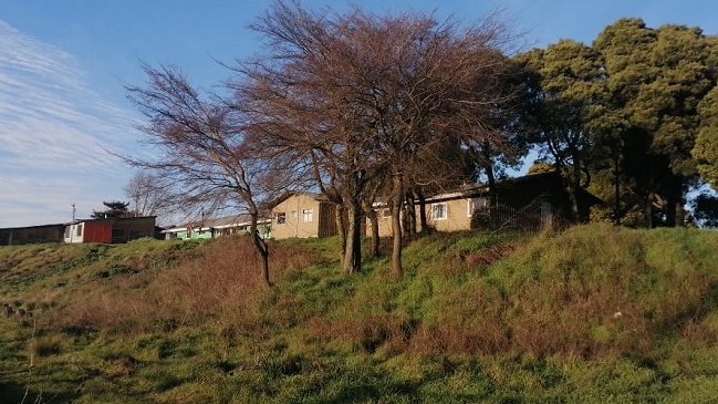 Gobierno espera que se 