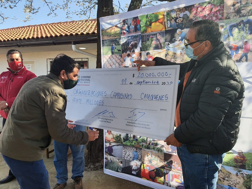 Recursos de fortalecimiento productivo reciben organizaciones campesinas del Maule