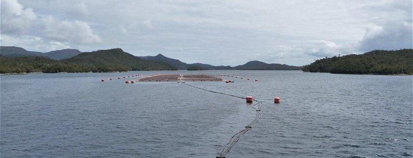Corte de Puerto Montt confirmó millonaria multa a empresa salmonera de Castro