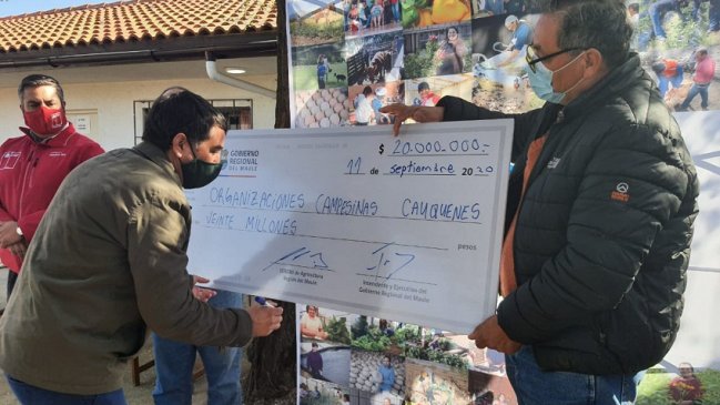 Recursos de fortalecimiento productivo reciben organizaciones campesinas del Maule