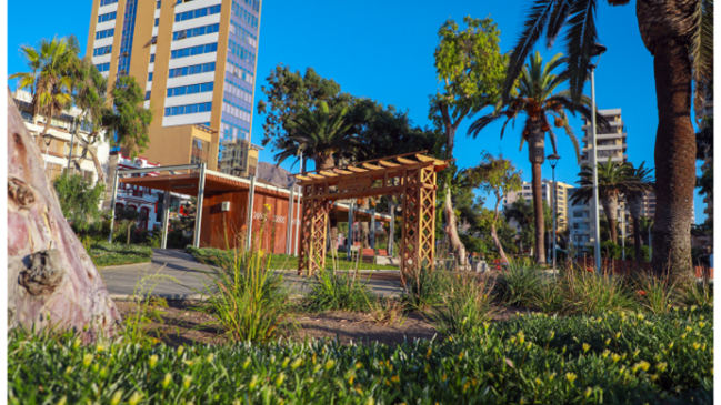 Dan luz verde a millonario fondo que embellecerá más de 20 parques en Antofagasta