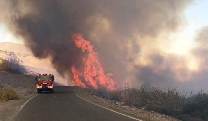 Tarapacá: Quema de pastizales en Huara moviliza a Bomberos