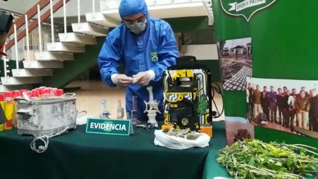Procesamiento de marihuana en laboratorio casero causó explosión en Antofagasta