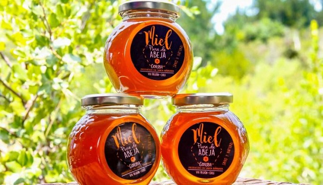 Del Biobío a Emiratos Árabes: Miel de pequeños productores llega al Medio Oriente