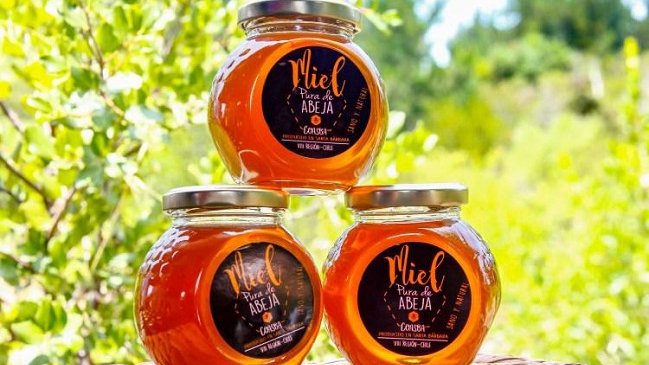 Del Biobío a Emiratos Árabes: Miel de pequeños productores llega al Medio Oriente