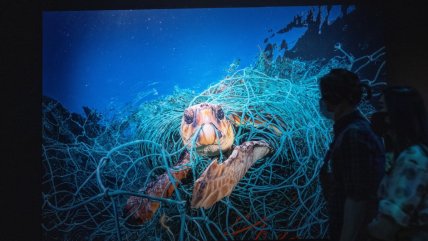  Singapur exhibe efecto del plástico en el océano  