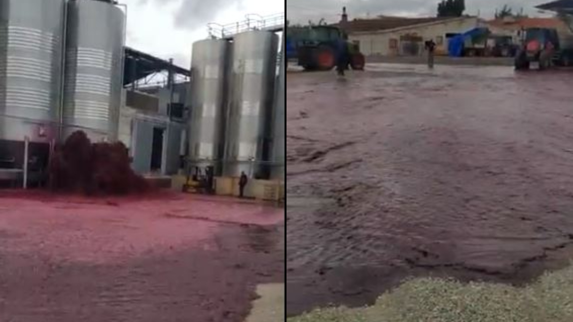 Una desgracia: Más de 50.000 litros de vino se derramaron en fábrica española