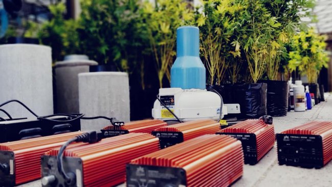 Incautan plantas de marihuana en cultivo indoor de vivienda en acomodado sector de Machalí