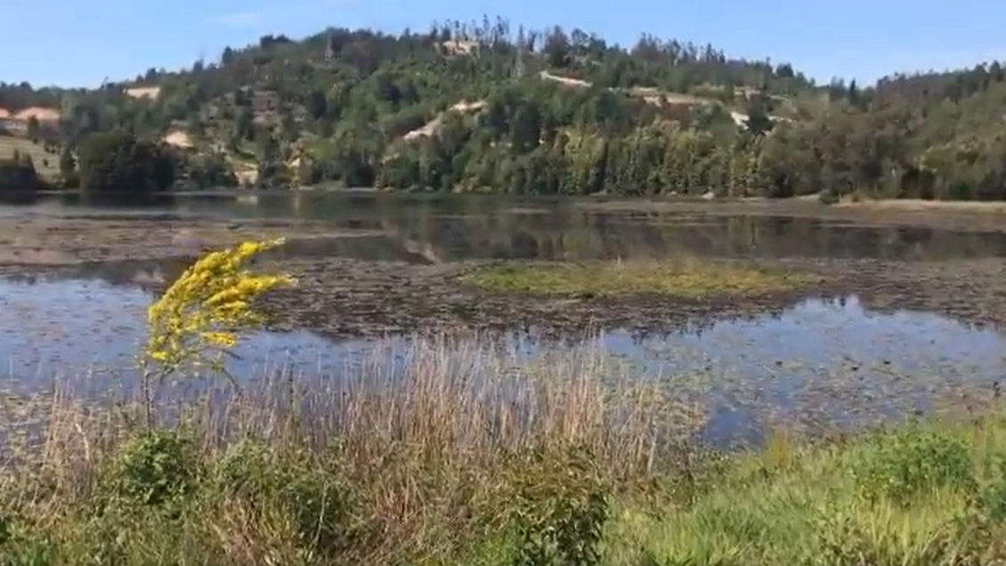 Seremi confirma intervención de privados en laguna poco conocida de Concepción