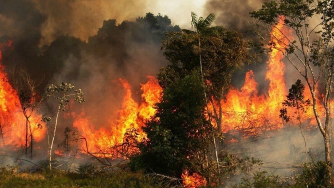 El fuego avanza en la Amazonía y el Pantanal pese al negacionismo de Bolsonaro
