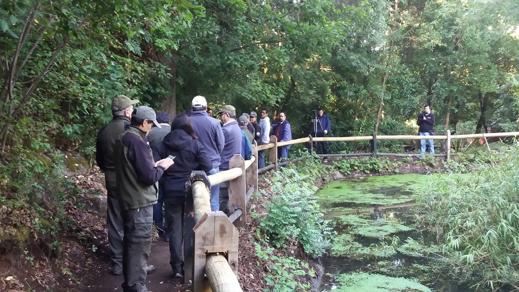 Aumentan aforos en parques nacionales y reservas forestales de La Araucanía