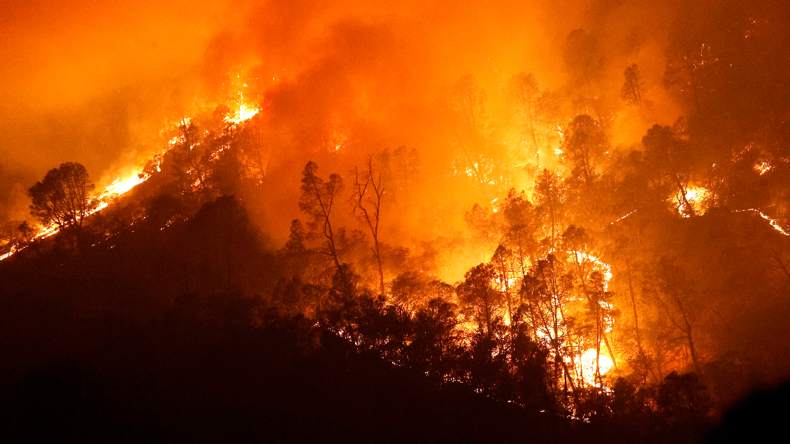 Incendios forestales han arrasado 1,62 millones de hectáreas en California