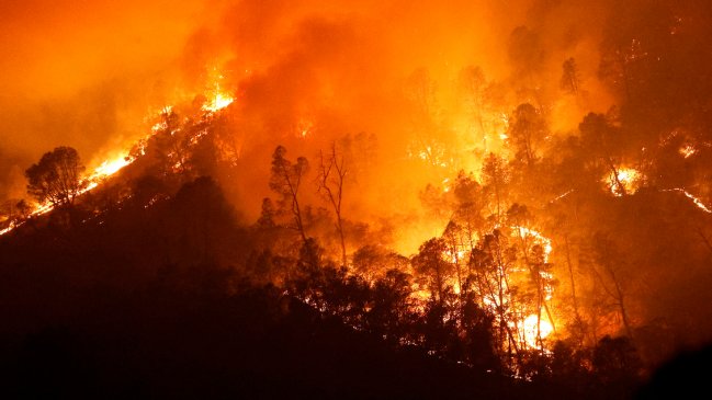 Incendios forestales han arrasado 1,62 millones de hectáreas en California