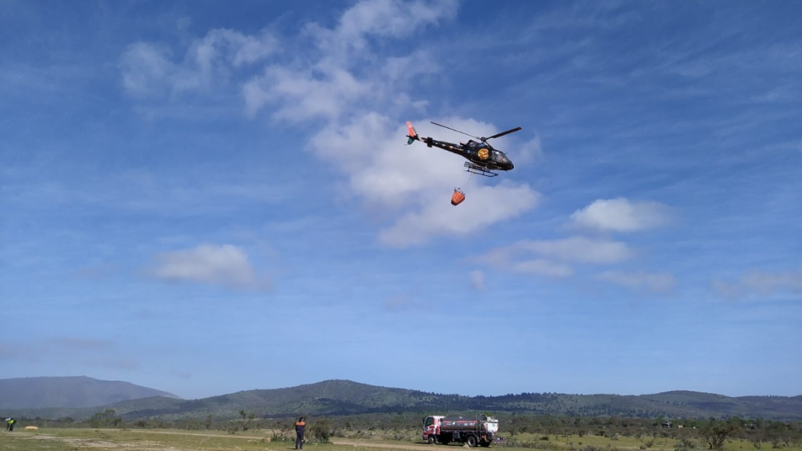 Incendio forestal consumió 150 hectáreas en Zapallar