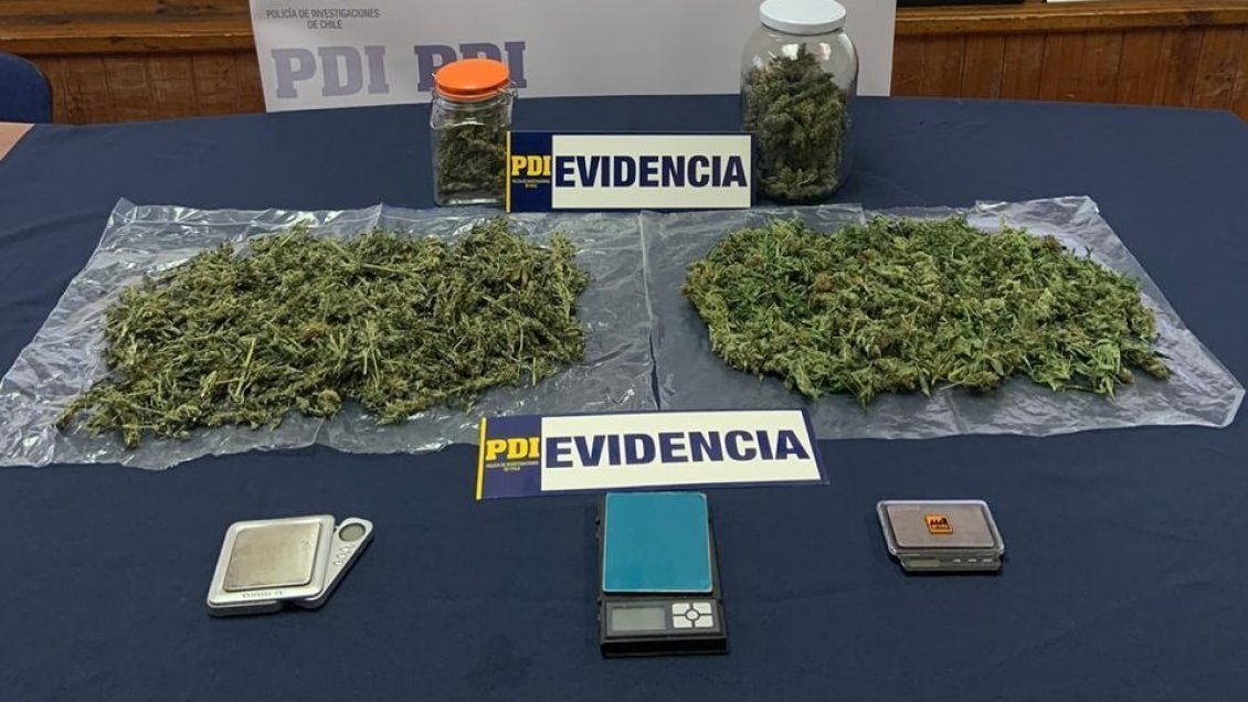 Médico de Chillán fue detenido: se le acusa de mantener plantación de marihuana en su domicilio