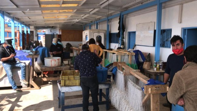 Autoridades realizan positivo balance tras término de veda de la merluza común