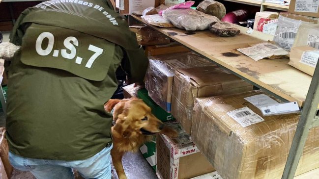 Detectan encomienda con más de nueve kilos de marihuana en Iquique