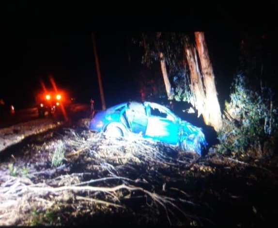 Dos jóvenes fallecieron tras chocar de frente con un árbol en Vicuña