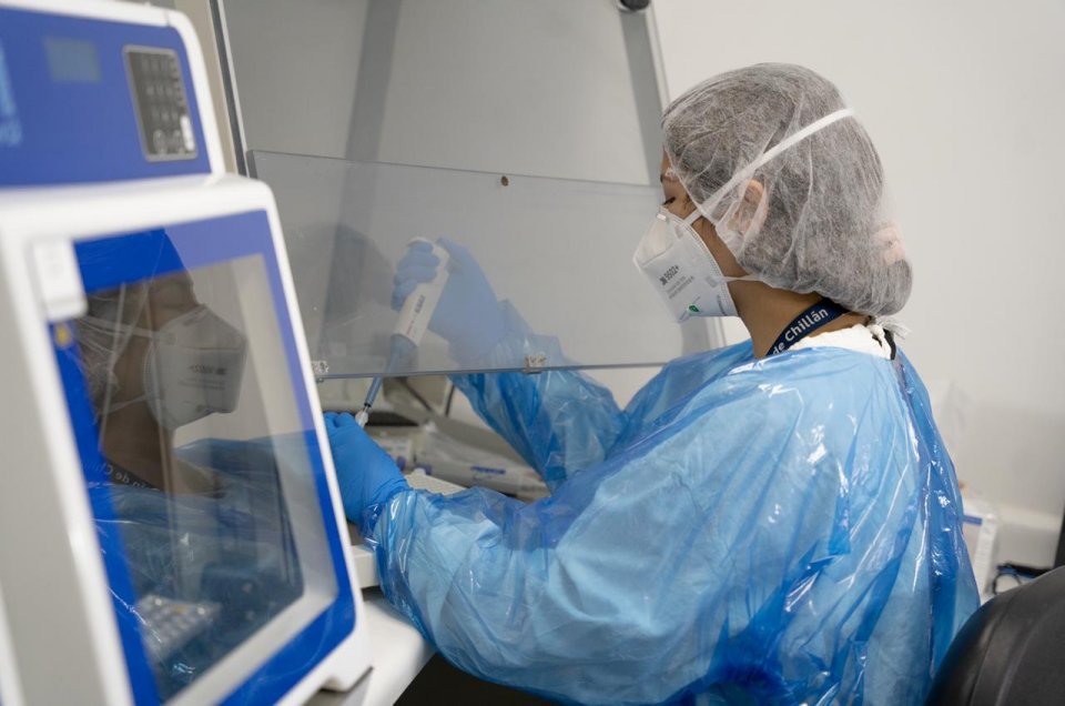 Hospital de Chillán ha procesado más de 82 mil exámenes PCR para detectar el Covid-19
