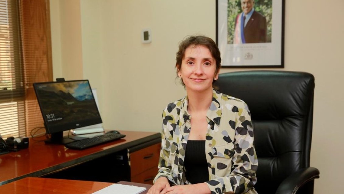 Gobierno nombró a Rosario Martínez como nueva directora del Sename